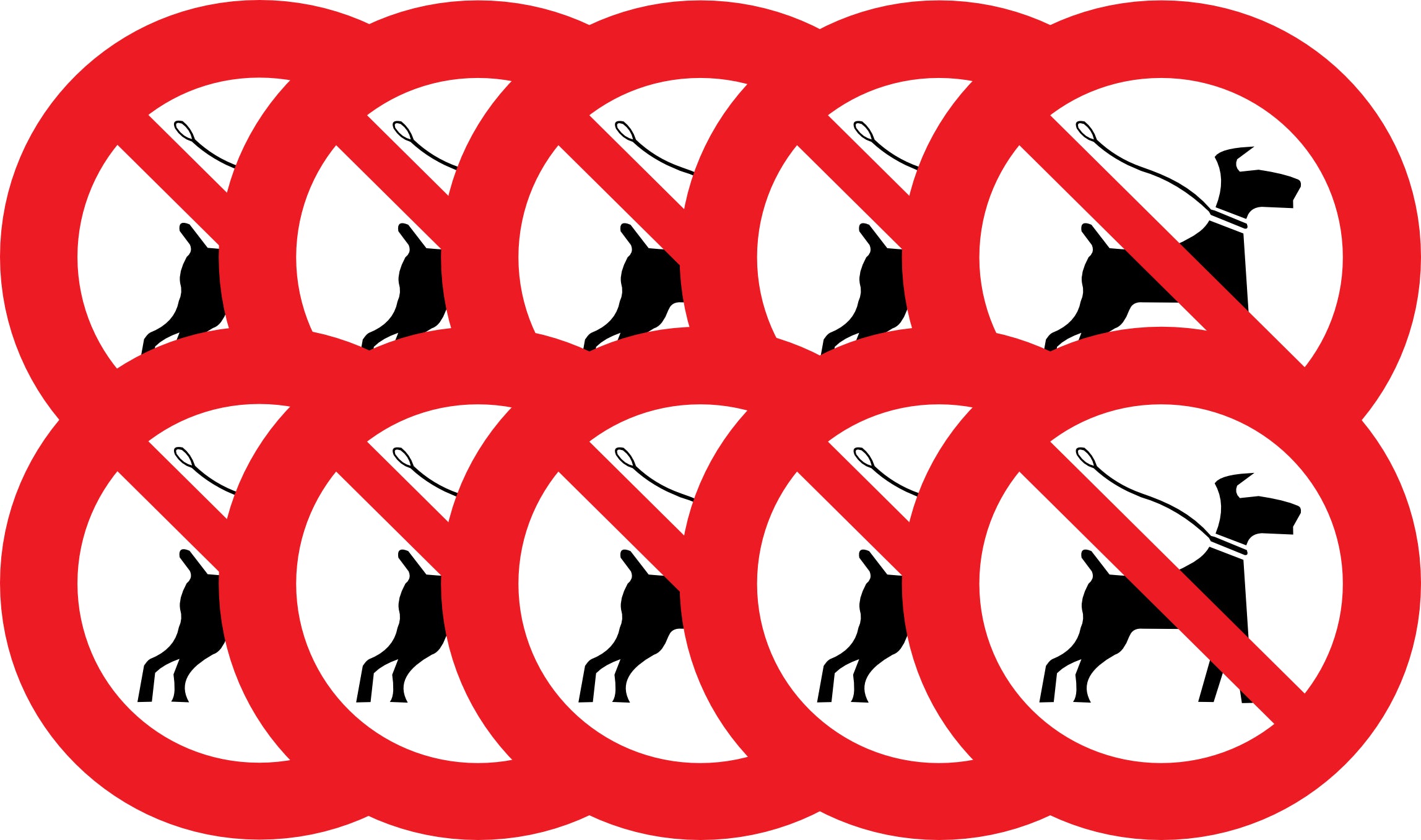 Sticker Interdit aux Chiens – Signalétique Extérieure & PVC Disponible | Kover Graphik-4