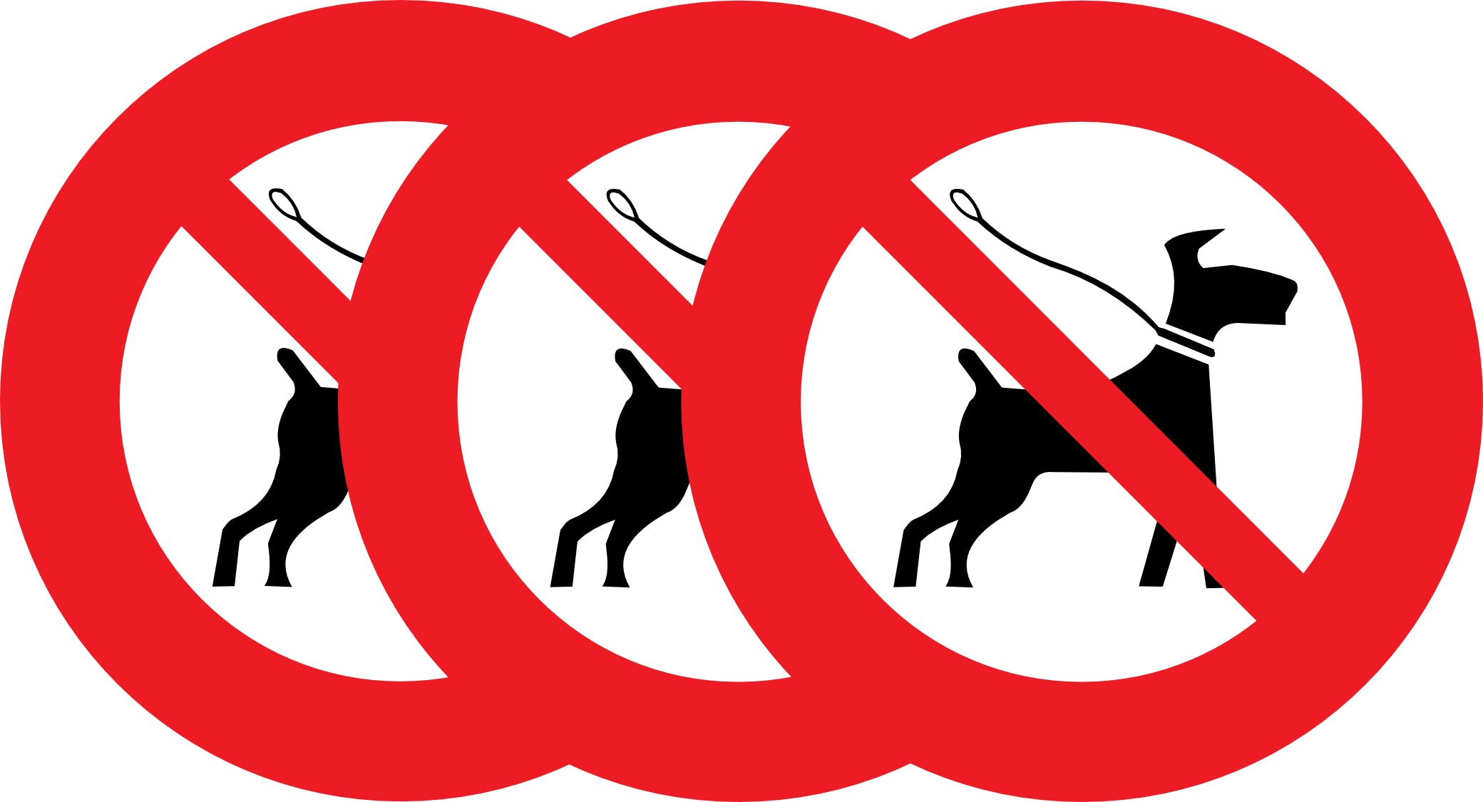 Sticker Interdit aux Chiens – Signalétique Extérieure & PVC Disponible | Kover Graphik