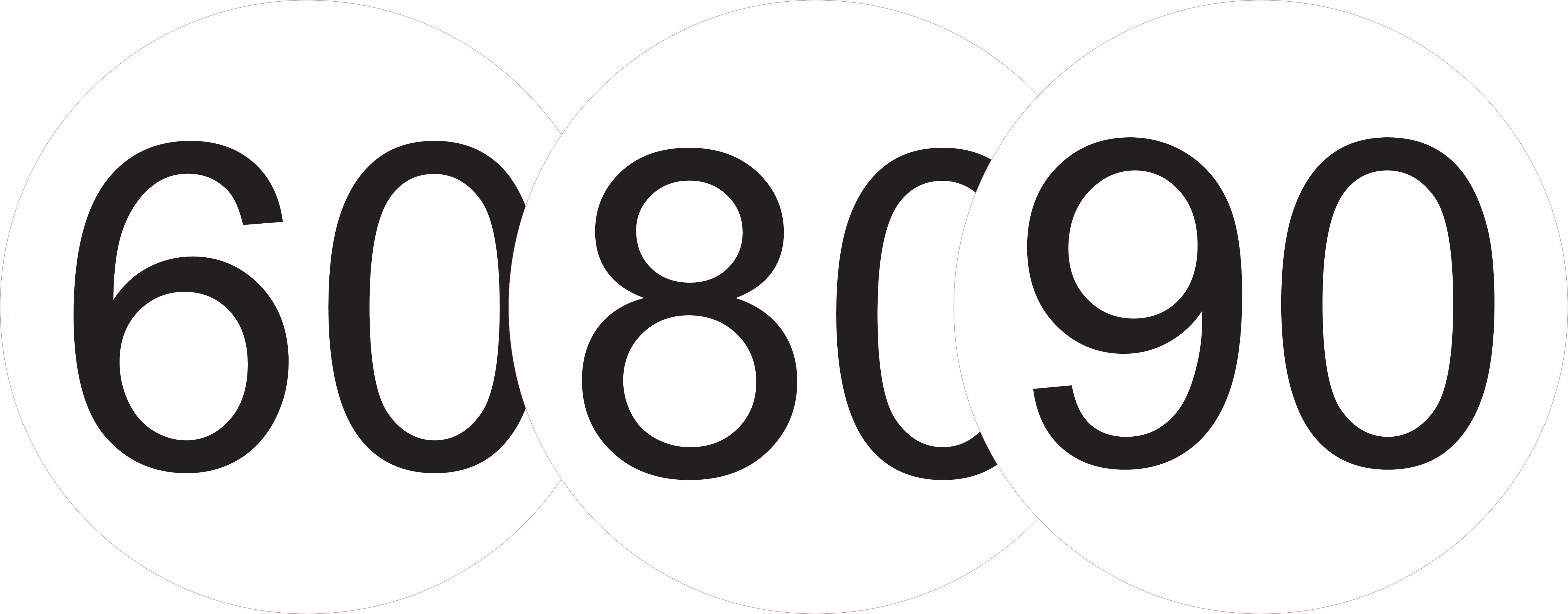 Pack de 3 disques de vitesse réglementaires 60 / 80 / 90 – Véhicules à affichage obligatoire